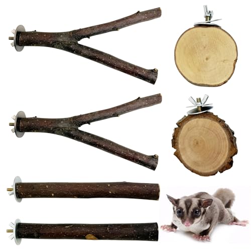 BNOSDM Sugar Glider Supplies Käfigzubehör von BNOSDM