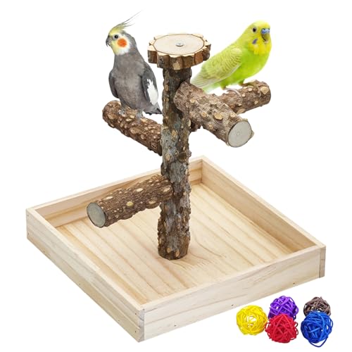 BNOSDM Tragbarer Vogel-Sitzständer mit Töpfchen-Tablett, natürliches Holz, runde Plattform, für Training, Fitnessstudio, Papageien, Spielplatz, Spielzeug für Wellensittiche, Nymphensittiche BNOSDM Tragbarer Vogel-Sitzständer mit Töpfchen-Tablett, natürliches Holz, runde Plattform, für Training, Fitnessstudio, Papageien, Spielplatz, Spielzeug für Wellensittiche, Nymphensittiche von BNOSDM