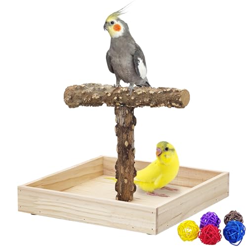 BNOSDM Tragbarer Vogelständer mit Töpfchentablett, natürliches Holz, T-Form, für Training, Fitnessstudio, Papageien, Spielplatz, Spielzeug für Wellensittiche, Nymphensittiche, Lovebirds, Kanarienvögel von BNOSDM