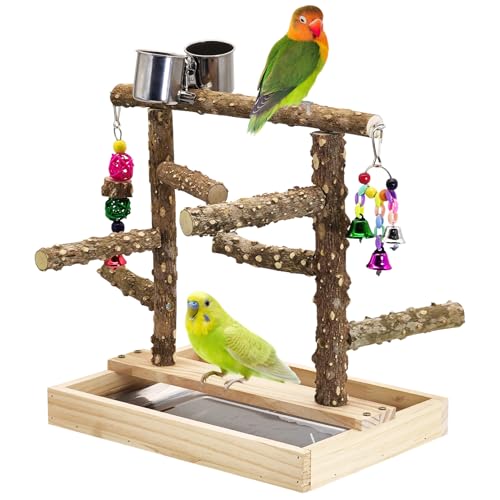 BNOSDM Vogel-Spielplatz aus Naturholz für Training und Spielen, Papageien-Sitzstange, Dschungel-Fitnessstudio mit abnehmbarem Tablett und Edelstahl-Futterschalen, Sittichkäfig, Spielständer für BNOSDM Vogel-Spielplatz aus Naturholz für Training und Spielen, Papageien-Sitzstange, Dschungel-Fitnessstudio mit abnehmbarem Tablett und Edelstahl-Futterschalen, Sittichkäfig, Spielständer für von BNOSDM