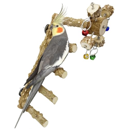 BNOSDM Vogelleiter aus Naturholz, mit drehbarem Glockenspielzeug, Übungsständer für Papageien, Klettern, Kauen, Sittiche, Brücke, Käfigzubehör für Nymphensittiche, Sittiche, Sittiche, Sittiche von BNOSDM