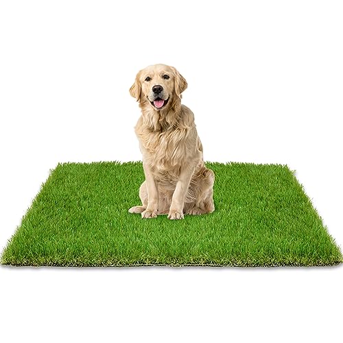 BNOSDM Waschbare Hunde-Grasunterlage, 150 x 100 cm, künstliches Gras, Naturteppich, Pad, Haustier-Töpfchentrainingsmatte, wiederverwendbar, künstliches Gras für Hunde, Katzen, Kaninchen von BNOSDM