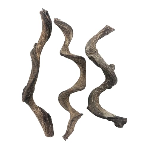 Reptilienholzzweig Eidechse Kletterreben Schlange Terrarium Dekor Gecko Tank Habitat Dekorationen für Bartdrachen Einsiedlerkrabbe 3 Stück Reptilienholzzweig Eidechse Kletterreben Schlange Terrarium Dekor Gecko Tank Habitat Dekorationen für Bartdrachen Einsiedlerkrabbe 3 Stück von BNOSDM