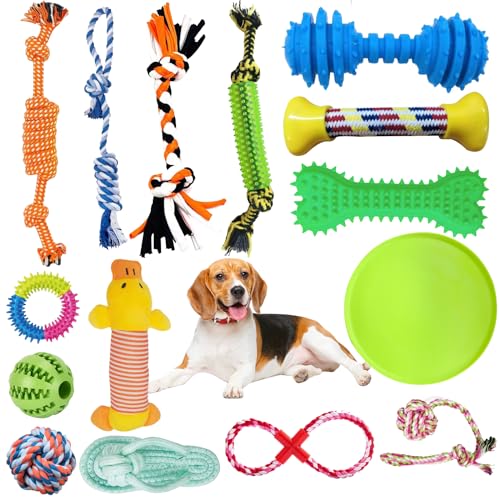 BNWRRCVKE Hundespielzeug Set, 15 Pcs Seil Ball Hunde robuste Zähne Kauen langlebig Spielzeug Zahntraining Set Für Kleine mittelgroßen Hund Interaktives Hundespielzeug zum Zähneputzen Unzerstoerbar BNWRRCVKE Hundespielzeug Set, 15 Pcs Seil Ball Hunde robuste Zähne Kauen langlebig Spielzeug Zahntraining Set Für Kleine mittelgroßen Hund Interaktives Hundespielzeug zum Zähneputzen Unzerstoerbar von BNWRRCVKE