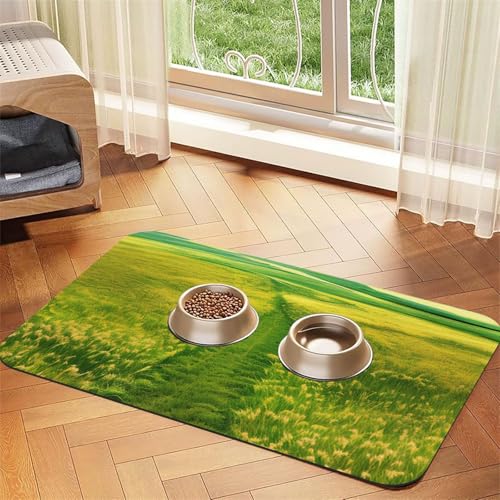 Grassland paths Haustier-Futtermatte, wasserabsorbierend, Kunstleder, 40 x 60 cm, rutschfest, langlebig, für Katzen- und Hundenäpfe von BOAIHH