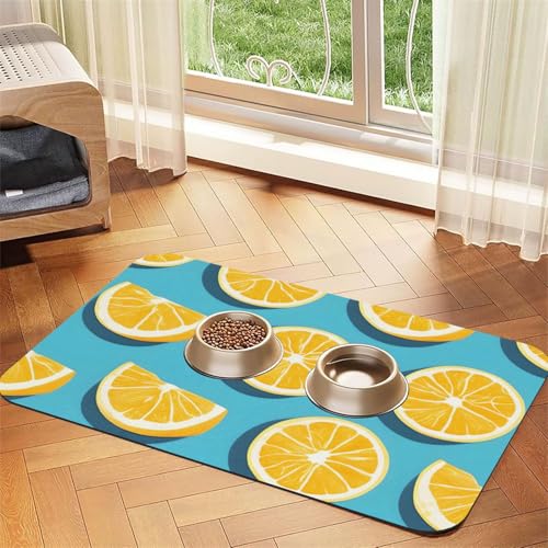 Wasserabsorbierende Kunstleder-Futtermatte mit Zitronenkeilen, 40 x 60 cm, rutschfest, langlebig, für Katzen- und Hundenäpfe von BOAIHH
