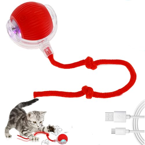 BOBASH Interaktives Hundespielzeug Mit Schnur - Elektrischer Ball für Hunde, Rolling Magie-Ball, USB Aufladbar für Katzen und Hunde von BOBASH