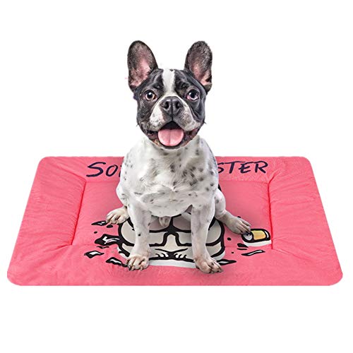 BOENTA Katzendecke Hundedecken Dicke Haustierdecke Weiche Decke Hundebett Zubehör Warme Hundedecke Waschbares Hundebett Katzendecke Haustierdecke Rose red,s BOENTA Katzendecke Hundedecken Dicke Haustierdecke Weiche Decke Hundebett Zubehör Warme Hundedecke Waschbares Hundebett Katzendecke Haustierdecke Rose red,s von BOENTA