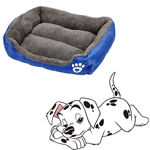 BOENTA hundebett waschbar hundebetten Katzenbetten Für Mittlere Katzen Warmes Hundebett Günstige Hundebetten Plüsch Hundebett Haustiernest royal Blue,m BOENTA hundebett waschbar hundebetten Katzenbetten Für Mittlere Katzen Warmes Hundebett Günstige Hundebetten Plüsch Hundebett Haustiernest royal Blue,m von BOENTA