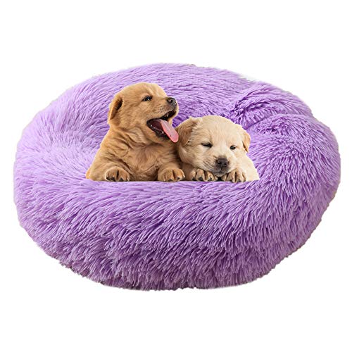 BOENTA hundebetten für mittlere Hunde hundebett kleine Hunde Katzen Donut Bett Warmes Hundebett Hund Schlafsofa Haustierbetten Für Hunde Plüsch Hundebett Purple,40cm/15.75in BOENTA hundebetten für mittlere Hunde hundebett kleine Hunde Katzen Donut Bett Warmes Hundebett Hund Schlafsofa Haustierbetten Für Hunde Plüsch Hundebett Purple,40cm/15.75in von BOENTA