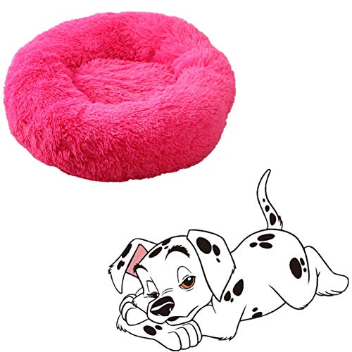 BOENTA hundebetten katzenbett Katzen Donut Bett Hundekissen Donut Hundebett Kätzchenbett Flauschiges Katzenbett Flauschiges Hundebett Kleines Katzenbett Rose red,50cm/19.69in BOENTA hundebetten katzenbett Katzen Donut Bett Hundekissen Donut Hundebett Kätzchenbett Flauschiges Katzenbett Flauschiges Hundebett Kleines Katzenbett Rose red,50cm/19.69in von BOENTA