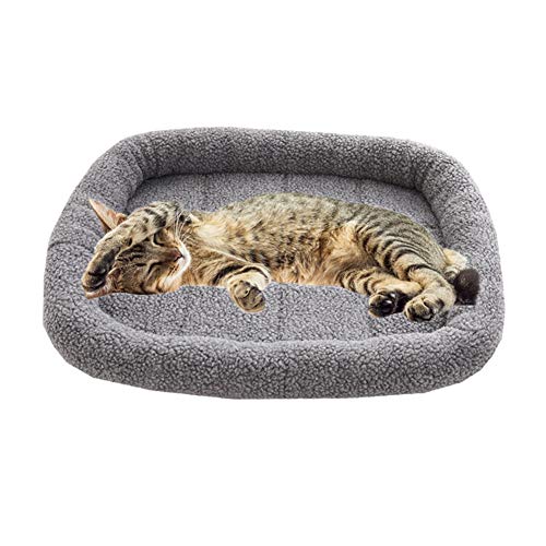 BOENTA katzenbett hundebett Grosse Hunde Hundekomfortbett Kätzchenbett Haustierbetten Für Hunde Haustierbetten Für Katzen Luxus Hundebett Haustiernest Gray,m BOENTA katzenbett hundebett Grosse Hunde Hundekomfortbett Kätzchenbett Haustierbetten Für Hunde Haustierbetten Für Katzen Luxus Hundebett Haustiernest Gray,m von BOENTA