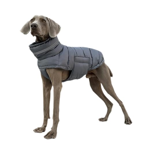 BOGDTF Wasserdichter Hundemantel Winterjacke für kleine Hunde, reflektierende Steppjacke mit Rollkragen, Schneeanzug, dicker und verstellbarer Mantel für Hunde BOGDTF Wasserdichter Hundemantel Winterjacke für kleine Hunde, reflektierende Steppjacke mit Rollkragen, Schneeanzug, dicker und verstellbarer Mantel für Hunde von BOGDTF