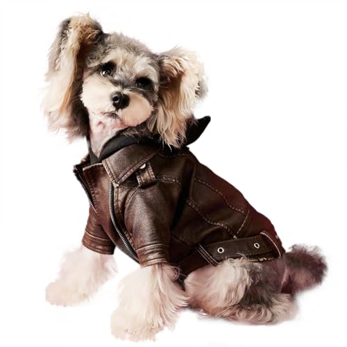 Hunde-Lederjacke, niedliche PU-Motorrad-Welpenjacke, winddicht, wasserdicht, Hundemantel mit Reißverschluss, extra kleine Hunde-Wintermäntel für Chihuahua, Yorkie-Outfits von BOGDTF