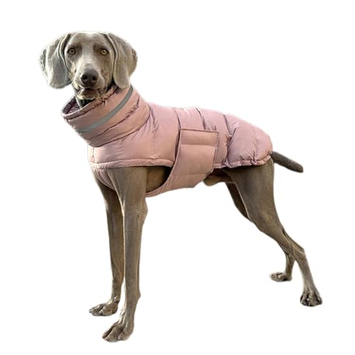 Wasserdichter Hundemantel, Winter-Hundejacke für kleine Hunde, reflektierender Rollkragen, Pufferjacke, Schneeanzug, dick, verstellbar, für kaltes Wetter, für mittelgroße Hunde, Welpenkleidung Wasserdichter Hundemantel, Winter-Hundejacke für kleine Hunde, reflektierender Rollkragen, Pufferjacke, Schneeanzug, dick, verstellbar, für kaltes Wetter, für mittelgroße Hunde, Welpenkleidung von BOGDTF
