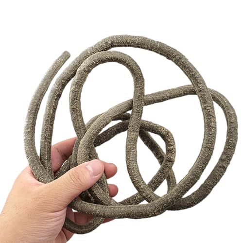 BOGEEL Aquarien Reptilien Kletterrebe Terrarium Pflanze Aquarium Dekoration Terrarium für Amphibien Eidechsen Schlange von BOGEEL