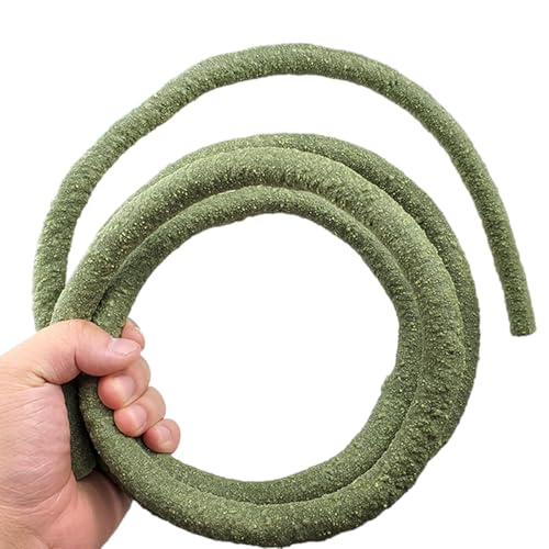 BOGEEL Aquarien Reptilien Kletterrebe Terrarium Pflanze Aquarium Dekoration Terrarium für Amphibien Eidechsen Schlange von BOGEEL