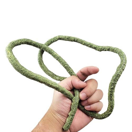 BOGEEL Aquarien Reptilien Kletterrebe Terrarium Pflanze Aquarium Dekoration Terrarium für Amphibien Eidechsen Schlange von BOGEEL