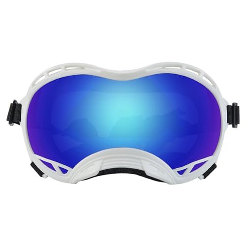 Haustier-UV-Schutz für oder große Hunde im nördlichen Bereich mit verstellbarem Gurt für Outdoor-Sportarten Haustier-UV-Schutz für oder große Hunde im nördlichen Bereich mit verstellbarem Gurt für Outdoor-Sportarten von BOGEEL