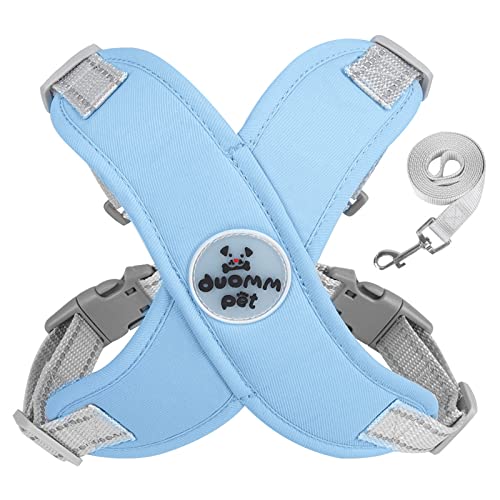 Hundegeschirr mit massivem D-Ring aus Metall für kleine Hunde, reflektierendes Geschirr mit Leine Hundegeschirr mit massivem D-Ring aus Metall für kleine Hunde, reflektierendes Geschirr mit Leine von BOGEEL