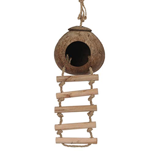 Verstecke mit Leiter, Naturfaser, hängendes Vogelhaus, Muscheln, Brutnest für Papageien Verstecke mit Leiter, Naturfaser, hängendes Vogelhaus, Muscheln, Brutnest für Papageien von BOGEEL