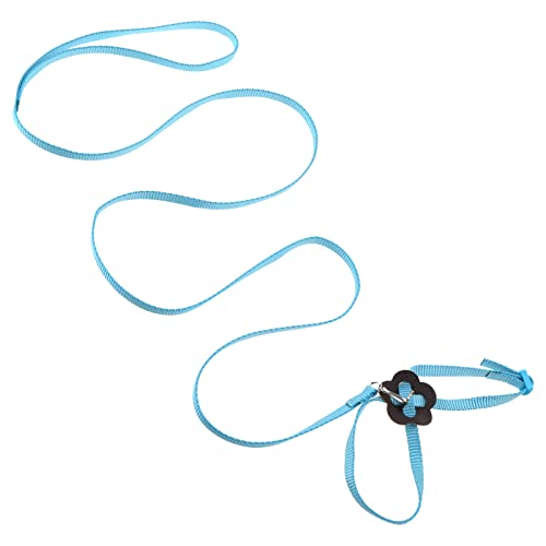 Verstellbares Vogelgeschirr, 10 cm, lange Leine, Outdoor-Flug-Trainingsseil für Vögel, Papageien, helle Farbe, 8-förmige Gurte Verstellbares Vogelgeschirr, 10 cm, lange Leine, Outdoor-Flug-Trainingsseil für Vögel, Papageien, helle Farbe, 8-förmige Gurte von BOGEEL