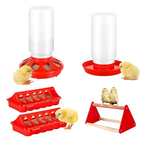 Küken Feeder Set Küken Tränke Geflügel Brutkasten Zubehör für Küken, Enten und Wachteln 5-teiliges Set von BOLEDIC