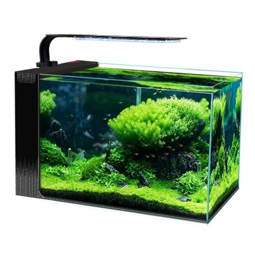 Leises, selbstzirkulierendes Aquarium, superweißes Glas, kleines ökologisches, selbstzirkulierendes Aquarium, seitlich filternde Aquarien 50cm Black von BOLNEY