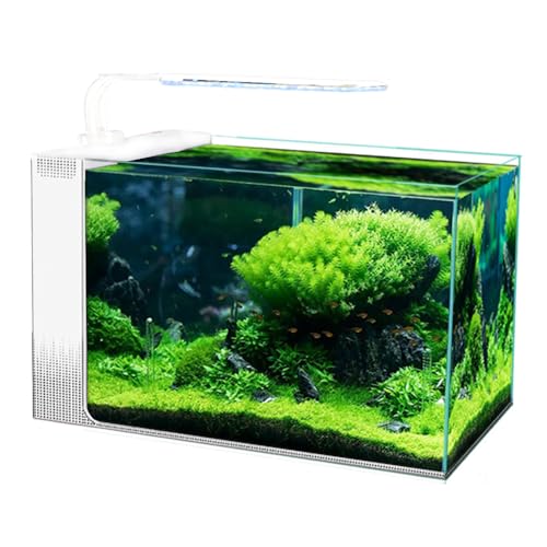 Leises, selbstzirkulierendes Aquarium, superweißes Glas, kleines ökologisches, selbstzirkulierendes Aquarium, seitlich filternde Aquarien 50cm White von BOLNEY