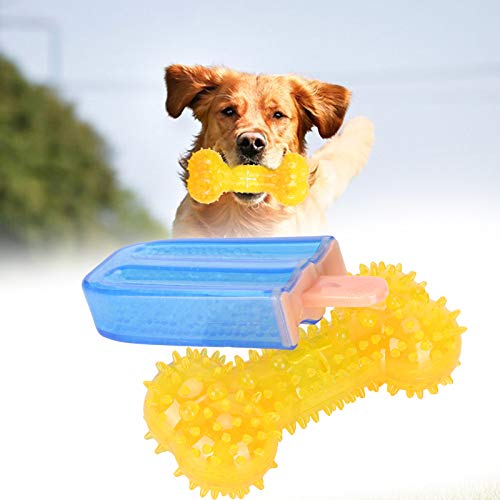 BOLORAMO Kauspielzeug in Knochenform, Hundebissstab Hundekauspielzeug Cooles Spielzeug TPR Ungiftig Bissfest mit Geräusch für die Reinigung von Haustierzähnen für Hunde von BOLORAMO