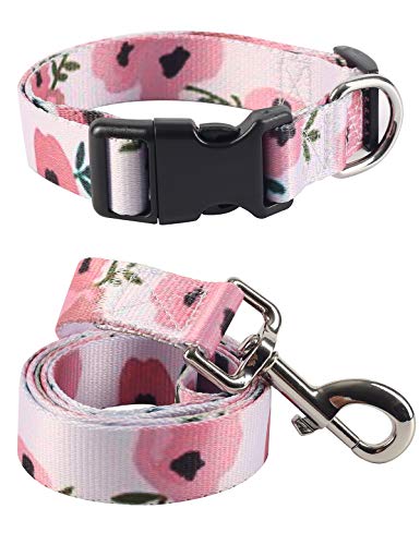 Coomour Hundehalsband, Haustier-Halsband mit niedlicher Leine für kleine, mittelgroße und große Hunde und Katzen von Coomour