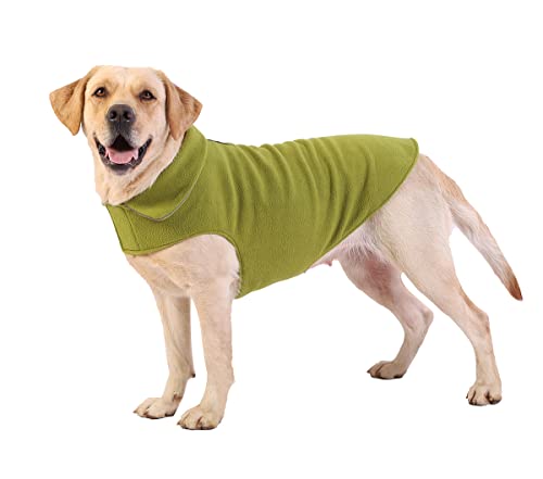 Fleece-Hundemantel, Haustierjacke, reflektierend, für kaltes Wetter, für extra große bis kleine Haustiere (Grün, L) von BONAWEN