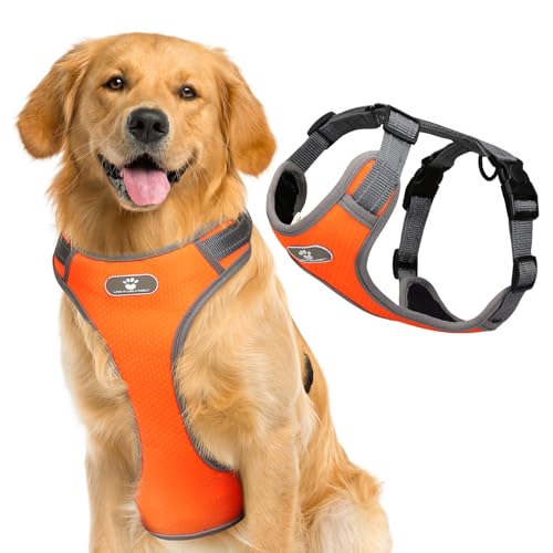 Hundegeschirr, atmungsaktiv, reflektierend, verstellbar für kleine, mittelgroße und große Hunde (Orange, S) von BONAWEN