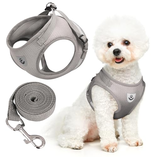 Hundegeschirr und Leine, kein Ziehen, ausbruchsicher, mit weichem Mesh und reflektierendem Band (Grau, XL) von BONAWEN