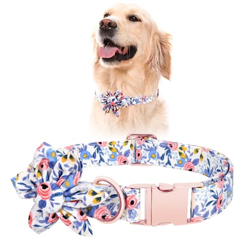 Hundehalsband, Blumenmuster, niedliches Mädchen, mit Sicherheits-Metallschnalle für Welpen, kleine, mittelgroße und große Hunde (blau, S) von BONAWEN