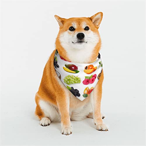 Fresh Fruits Hundehalstuch, wendbar, dreieckig, verstellbar, weiches Halstuch, für mittelgroße und große Haustiere von BONDIJ