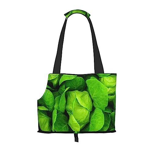 Green Gemüse Tragetasche für Haustiere, tragbare Tragetasche für Hunde und Katzen von BONDIJ