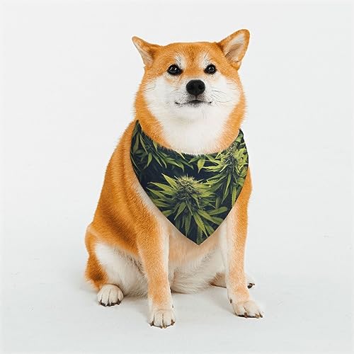 Green Weed Hundehalstuch, wendbar, dreieckig, verstellbar, weiches Halstuch für mittelgroße und große Haustiere Green Weed Hundehalstuch, wendbar, dreieckig, verstellbar, weiches Halstuch für mittelgroße und große Haustiere von BONDIJ