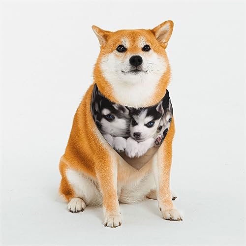 Husky Hundehalstuch, wendbar, dreieckig, verstellbar, weiches Halstuch für mittelgroße und große Haustiere Husky Hundehalstuch, wendbar, dreieckig, verstellbar, weiches Halstuch für mittelgroße und große Haustiere von BONDIJ