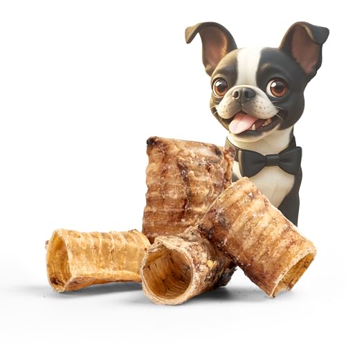 BONE APPETIT Rindertrachea für Hunde - Glutenfrei, Hundeleckereien, Leckereien, 100% Natürliche Snacks - 1000g BONE APPETIT Rindertrachea für Hunde - Glutenfrei, Hundeleckereien, Leckereien, 100% Natürliche Snacks - 1000g von BONE APPETIT
