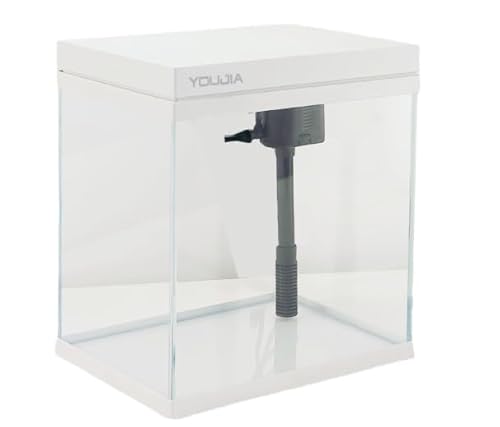 Schreibtisch Aquarium Komplettset, 7L Mini Aquarium Starterset Leises Tischaquarium Mit Wasserpumpe Kleines Aquarium Filtersystem Mit LED-Leuchten für Betta-Fische Garnelen Goldfische Schildkröten von BONJUME