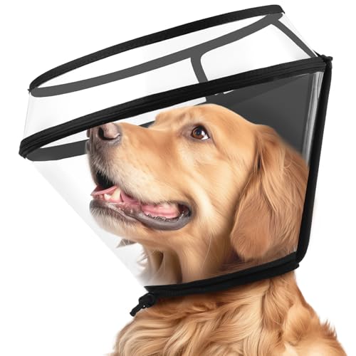 BONTHEE Hundehalsband, für nach Operationen, transparente Hundekegel, Alternative für kleine, große, mittelgroße Hunde, verstellbare Tiefe, elisabethanisches Halsband für Hunde, stoppt Wunden zu BONTHEE Hundehalsband, für nach Operationen, transparente Hundekegel, Alternative für kleine, große, mittelgroße Hunde, verstellbare Tiefe, elisabethanisches Halsband für Hunde, stoppt Wunden zu von BONTHEE