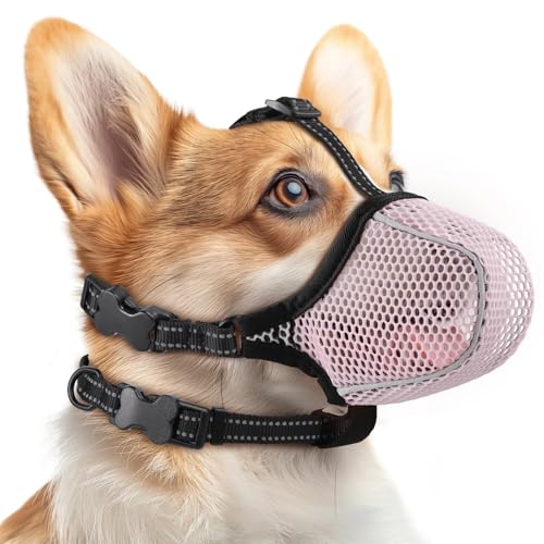 Hundemaulkorb aus weichem Netzstoff für kleine, mittelgroße und große Hunde, atmungsaktiv, reflektierend, verstellbar, mit Halsband zum Schnitzen, Fellpflegen, Beißen, Kauen, ermöglicht Hecheln und Hundemaulkorb aus weichem Netzstoff für kleine, mittelgroße und große Hunde, atmungsaktiv, reflektierend, verstellbar, mit Halsband zum Schnitzen, Fellpflegen, Beißen, Kauen, ermöglicht Hecheln und von BONTHEE