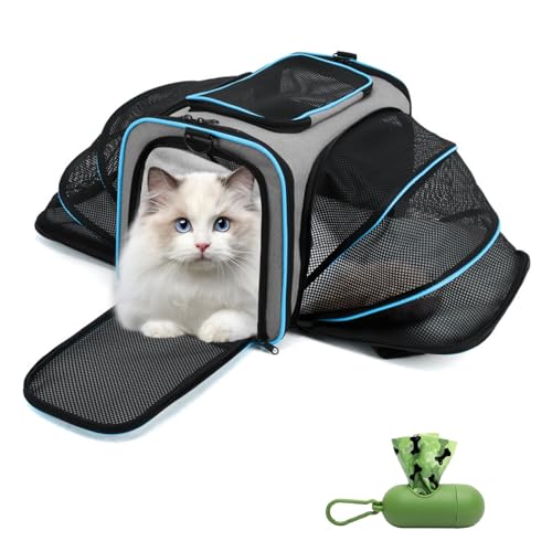 Erweiterbare Katzentragetasche, weiche Seiten, zusammenklappbar, Reisetrage für Katzen, kleine Haustiere, Kätzchen, Fluggesellschaft zugelassen mit abnehmbarem Kissen, Grau Erweiterbare Katzentragetasche, weiche Seiten, zusammenklappbar, Reisetrage für Katzen, kleine Haustiere, Kätzchen, Fluggesellschaft zugelassen mit abnehmbarem Kissen, Grau von BOODPET