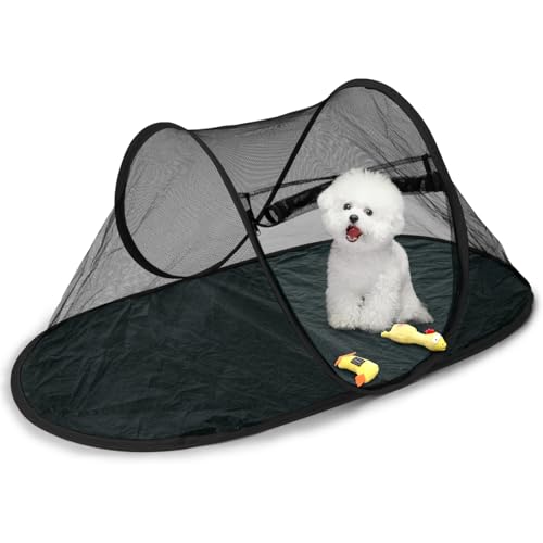Tragbarer faltbarer Katzenlaufstall - 118 x 64 x 50 cm Netz-Haustierzelt für den Innen- und Außenbereich, leicht und atmungsaktiv, einfacher Aufbau, robuster Boden, reisefreundliches Katzengehege für Tragbarer faltbarer Katzenlaufstall - 118 x 64 x 50 cm Netz-Haustierzelt für den Innen- und Außenbereich, leicht und atmungsaktiv, einfacher Aufbau, robuster Boden, reisefreundliches Katzengehege für von BOODPET