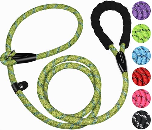 Robuste Hundeleine, 1,8 m, langlebig, Premium-Qualität, starkes Trainingsseil, mit bequemem, gepolstertem Griff und stark reflektierenden Fäden für kleine, mittelgroße und große Hunde, Blau / Grün Robuste Hundeleine, 1,8 m, langlebig, Premium-Qualität, starkes Trainingsseil, mit bequemem, gepolstertem Griff und stark reflektierenden Fäden für kleine, mittelgroße und große Hunde, Blau / Grün von BOOEUDI