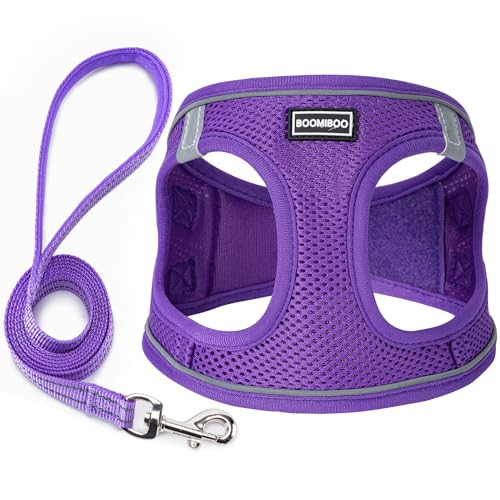 Hundegeschirr Set mit Leine - Set reflektierendes Geschirr verstellbar ohne Zug - Reflektierende Weste für Welpen und Katzen von klein, mittel und groß, lila, M von BOOMIBOO