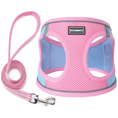 Hundegeschirr mit Leine - Verstellbares reflektierendes Geschirr für Welpen und Katzen von klein, mittel und groß, rosa, grün, S von BOOMIBOO