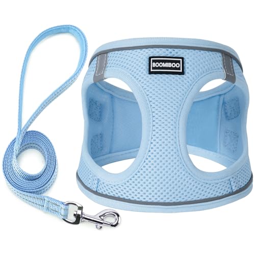 Hundegeschirr mit verstellbarer Leine, reflektierend, reflektierende Weste für kleine, mittelgroße und große Hunde und Katzen, Himmelblau, Größe S von BOOMIBOO