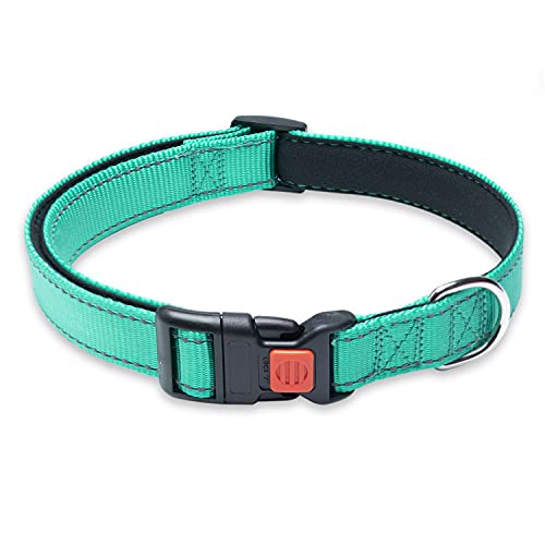Reflektierendes Hundehalsband mit Schnalle, verstellbar, Sicherheits-Nylon-Halsbänder für kleine, mittelgroße und große Hunde, Grün, XL von BOOMIBOO